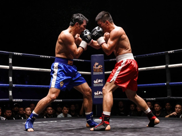 Do You Say Boxing Match or Fight? The Right Term for the Ring